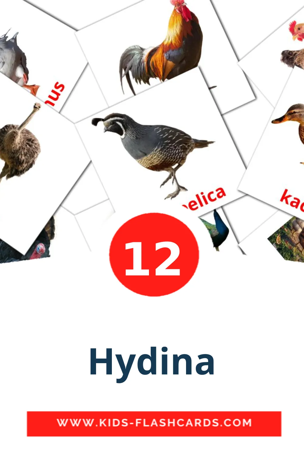 12 cartes illustrées de Hydina pour la maternelle en slovaque