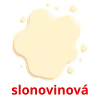 slonovinová ansichtkaarten