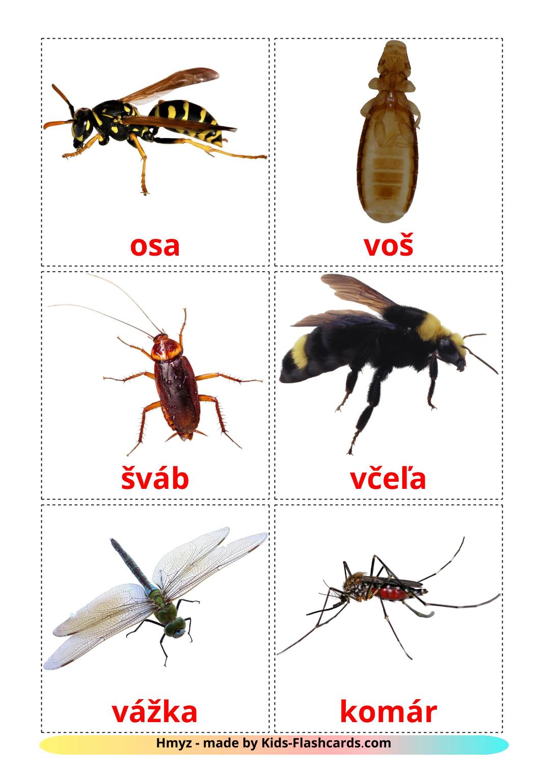 Insects - 23 Free Printable slovak Flashcards 