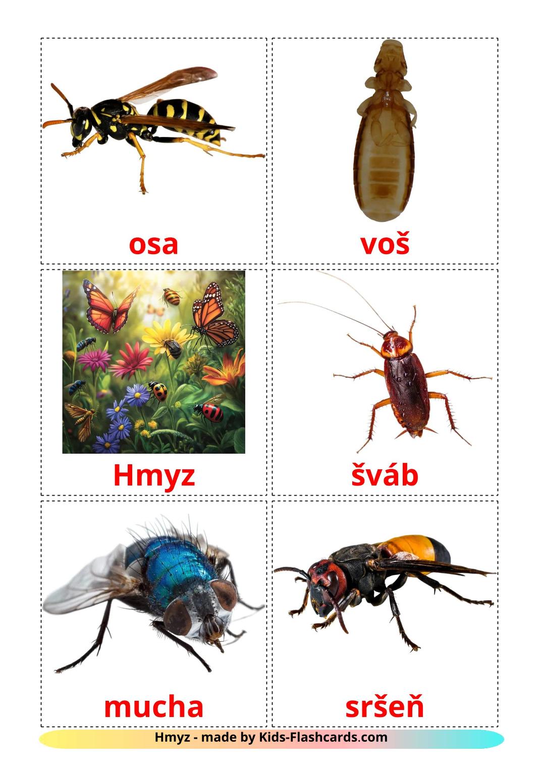 Les Insectes - 24 Flashcards slovaque imprimables gratuitement