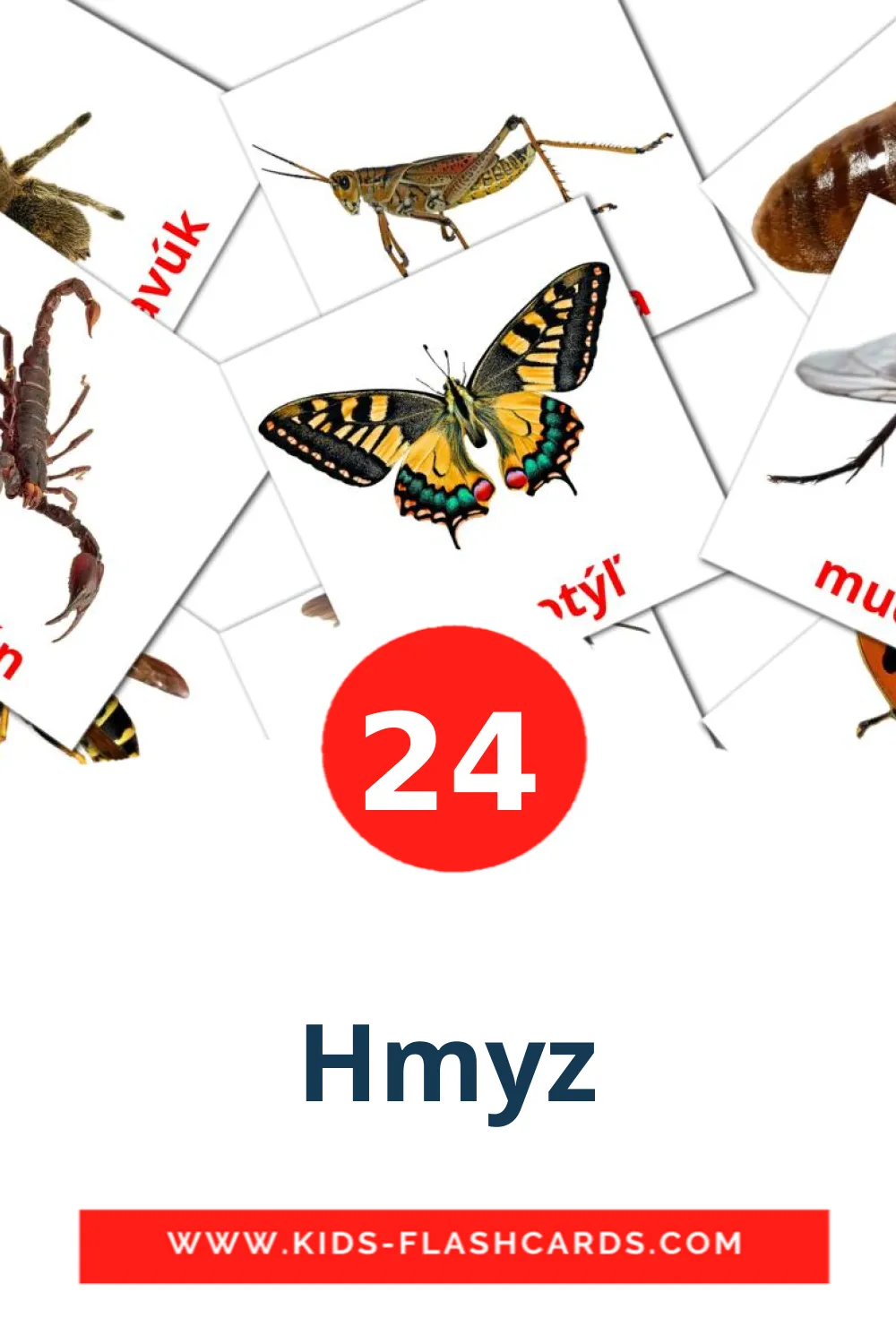 24 cartes illustrées de Hmyz pour la maternelle en slovaque