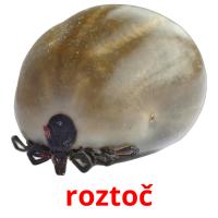 roztoč picture flashcards
