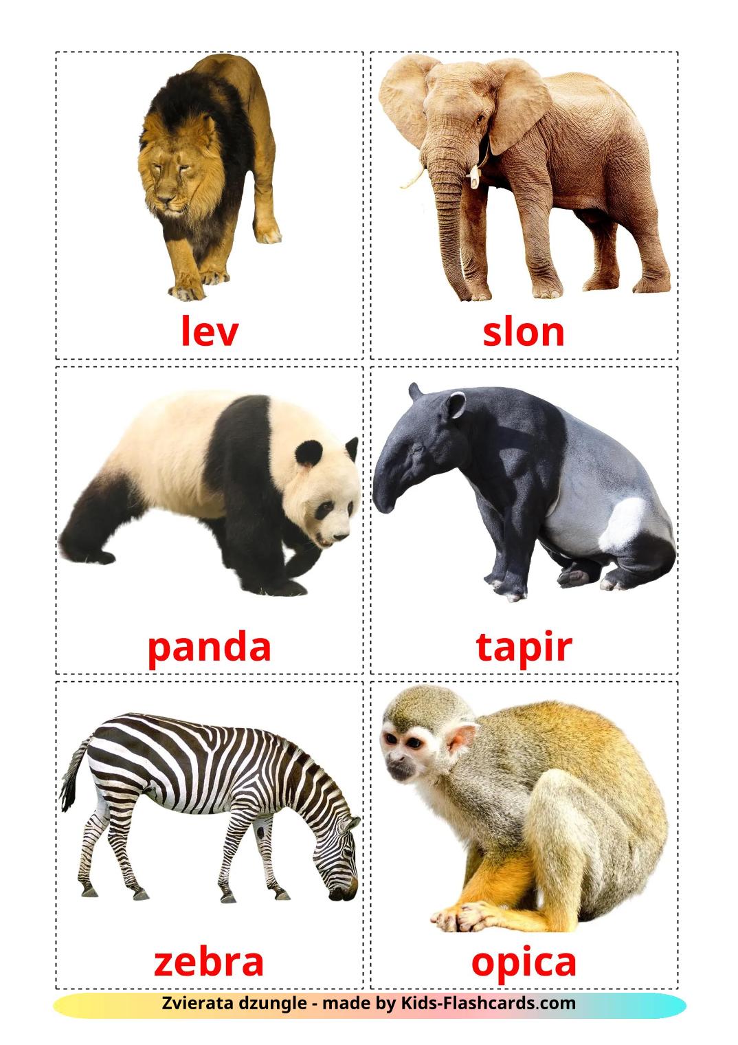 Les Animaux de la Jungle - 22 Flashcards slovaque imprimables gratuitement