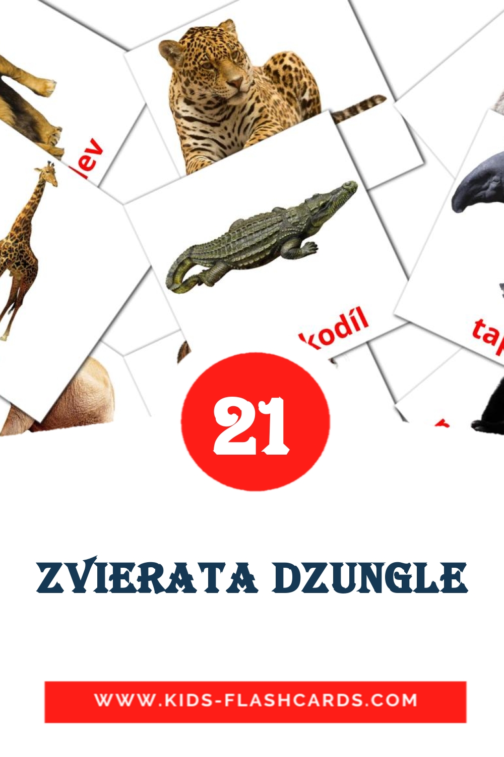 21 Zvierata dzungle Picture Cards for Kindergarden in slovak