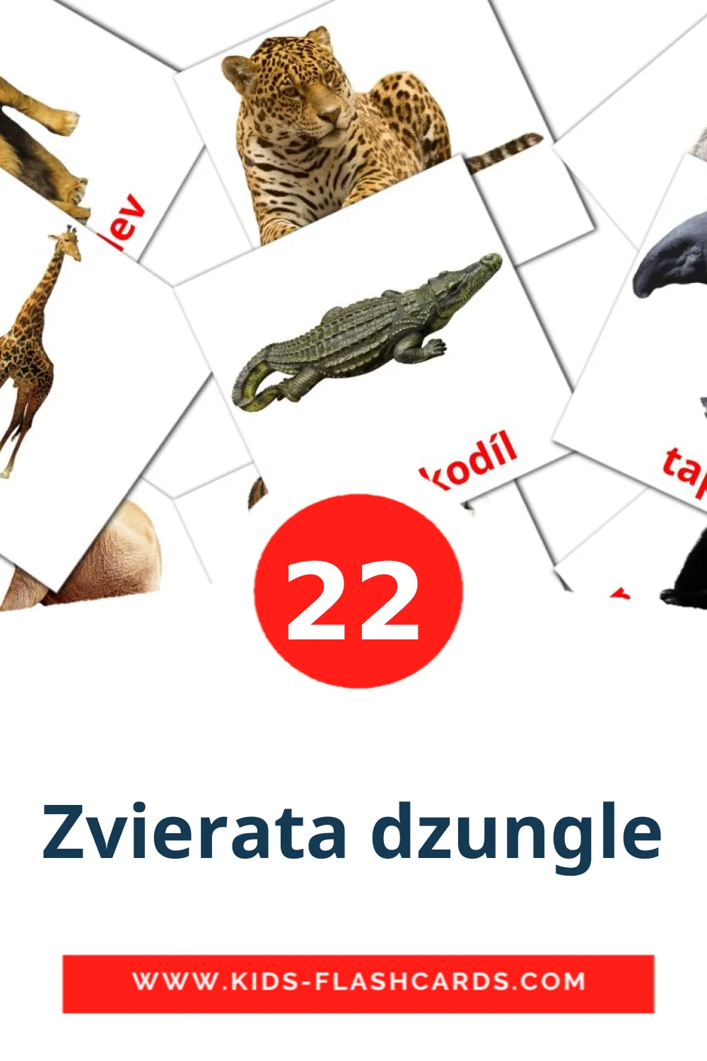 22 cartes illustrées de Zvierata dzungle pour la maternelle en slovaque