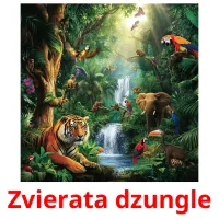 Zvierata dzungle cartes flash