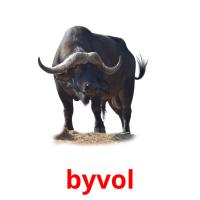 byvol picture flashcards