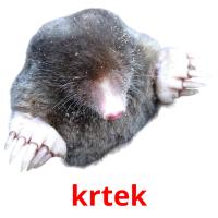 krtek card for translate