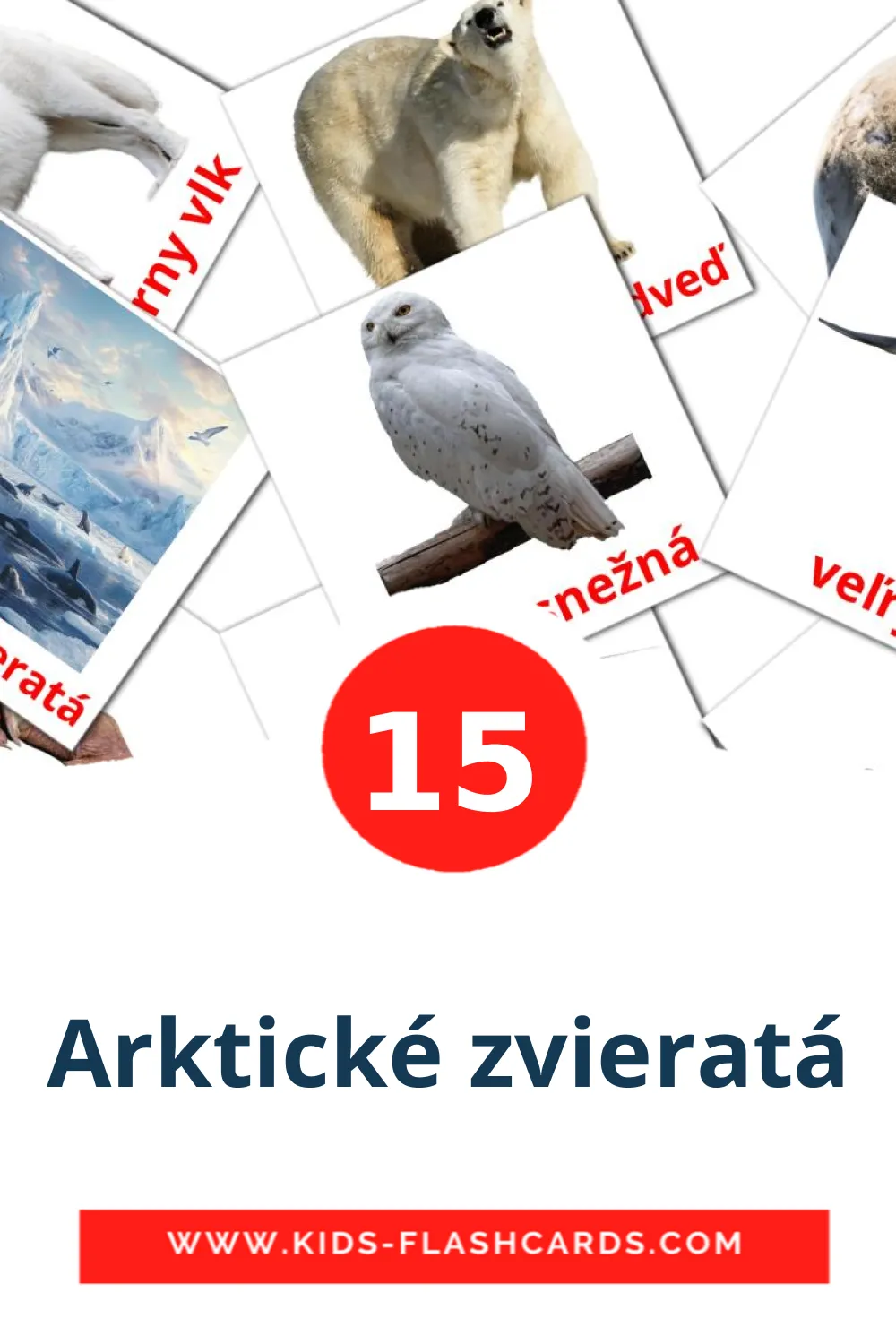 15 Arktické zvieratá fotokaarten voor kleuters in het slowaaks