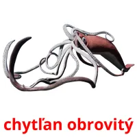 chytľan obrovitý ansichtkaarten