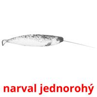 narval jednorohý picture flashcards