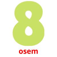 osem picture flashcards