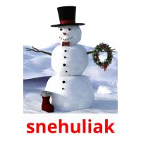 snehuliak flashcards illustrate