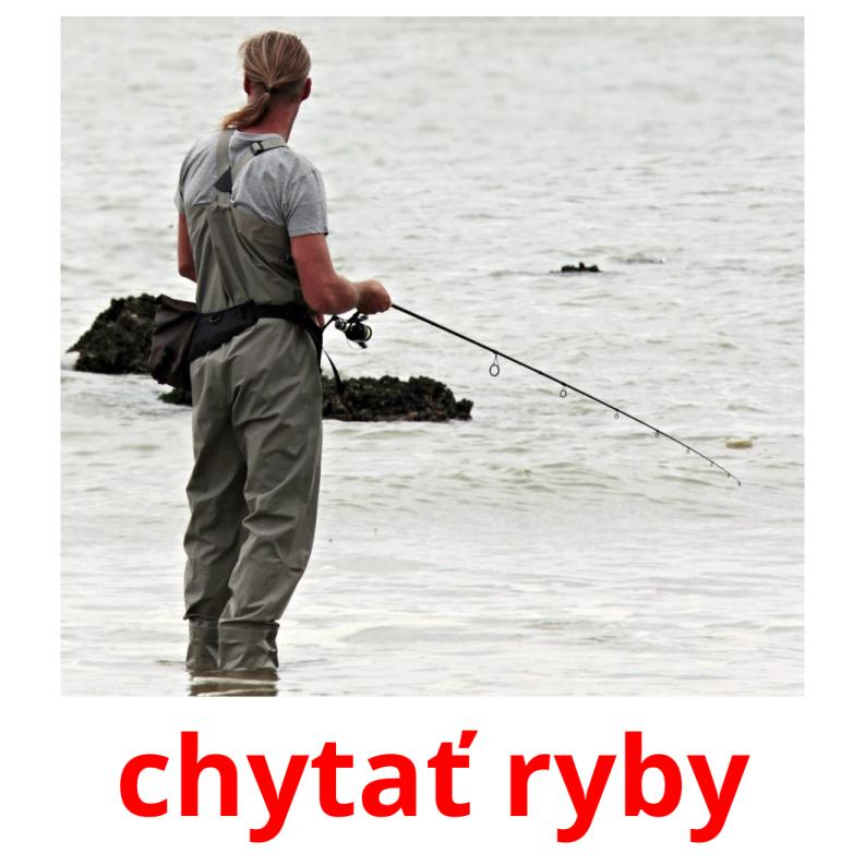 chytať ryby picture flashcards