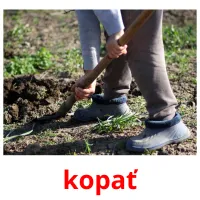 kopať ansichtkaarten