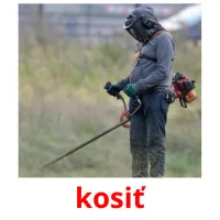 kosiť ansichtkaarten