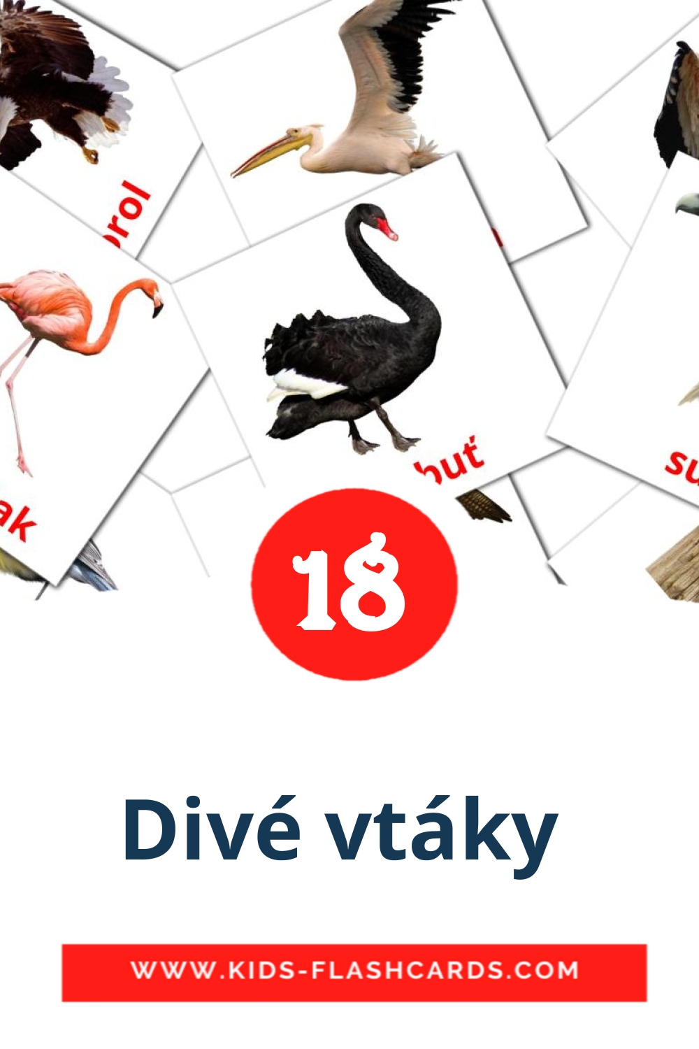 18 cartes illustrées de Divé vtáky  pour la maternelle en slovaque