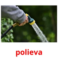 polieva карточки энциклопедических знаний