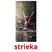 strieka card for translate