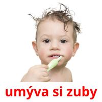 umýva si zuby picture flashcards