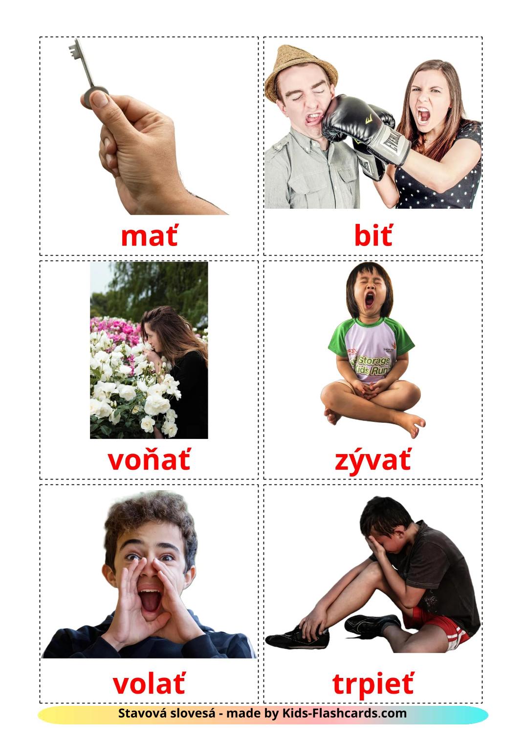 State verbs - 24 Free Printable slovak Flashcards 