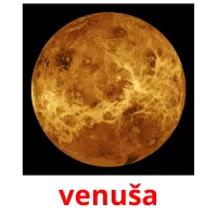 venuša picture flashcards