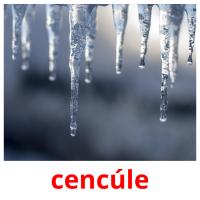 cencúle picture flashcards