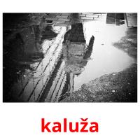 kaluža card for translate