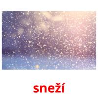 sneží card for translate