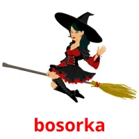 bosorka Bildkarten für Kinder