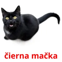 čierna mačka Bildkarten für Kinder