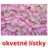 okvetné lístky Bildkarten für Kinder