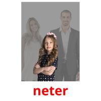 neter picture flashcards