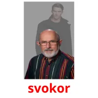 svokor карточки энциклопедических знаний