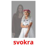 svokra picture flashcards