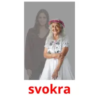 svokra карточки энциклопедических знаний