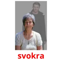 svokra карточки энциклопедических знаний