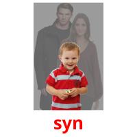syn picture flashcards