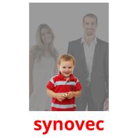 synovec picture flashcards