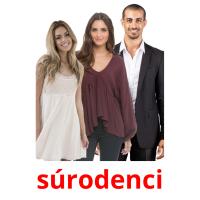 súrodenci picture flashcards