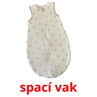 spací vak picture flashcards