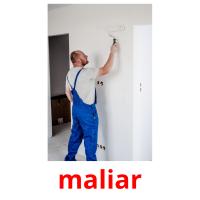 maliar picture flashcards
