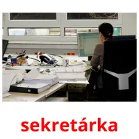 sekretárka Tarjetas didacticas