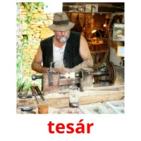 tesár Tarjetas didacticas