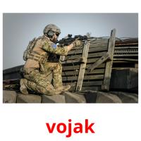 vojak picture flashcards