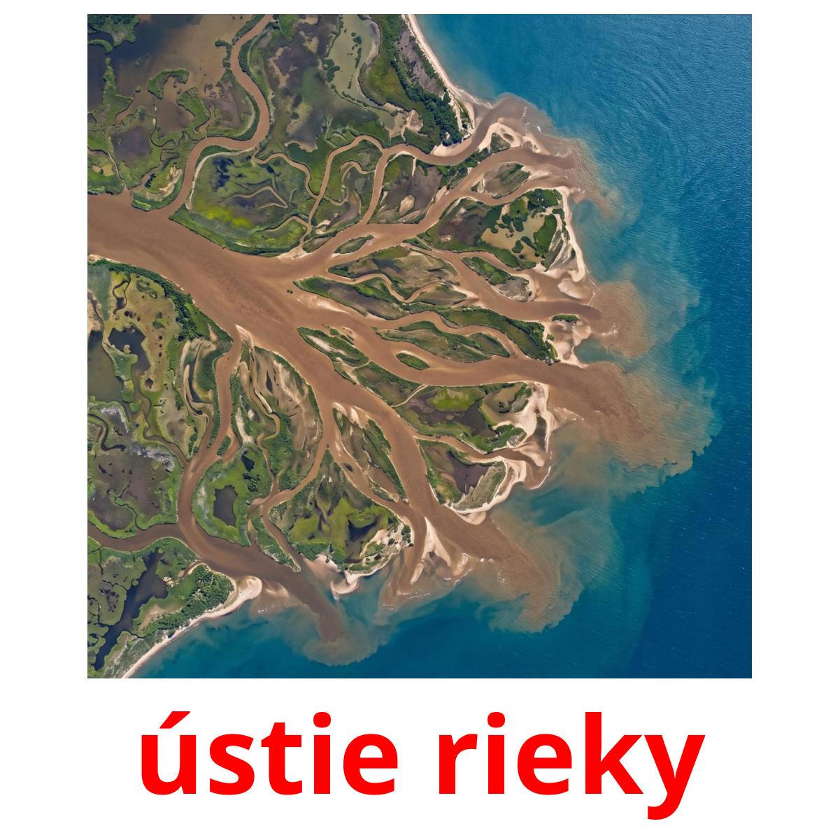 Delta Rieky 30 Printable Bodies of Water Flashcards in Slovak (Free PDF)