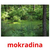 mokradina picture flashcards