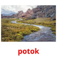 potok picture flashcards
