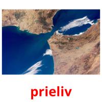 prieliv picture flashcards