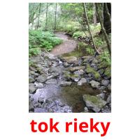 tok rieky picture flashcards